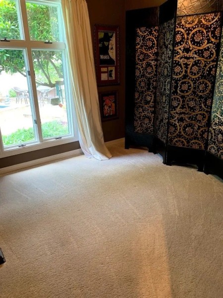Carpet Cleaning in South San Antonio, TX (3)
