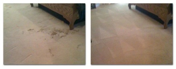 Before & After Carpet Cleaning in Cibolo, TX (1)