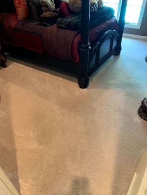 Carpet Cleaning in South San Antonio, TX (1)