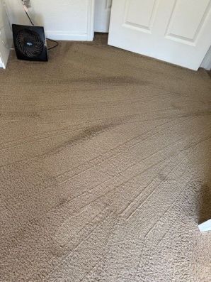 Carpet Stain Removal in Stone Oak, San Antonio, TX (2)